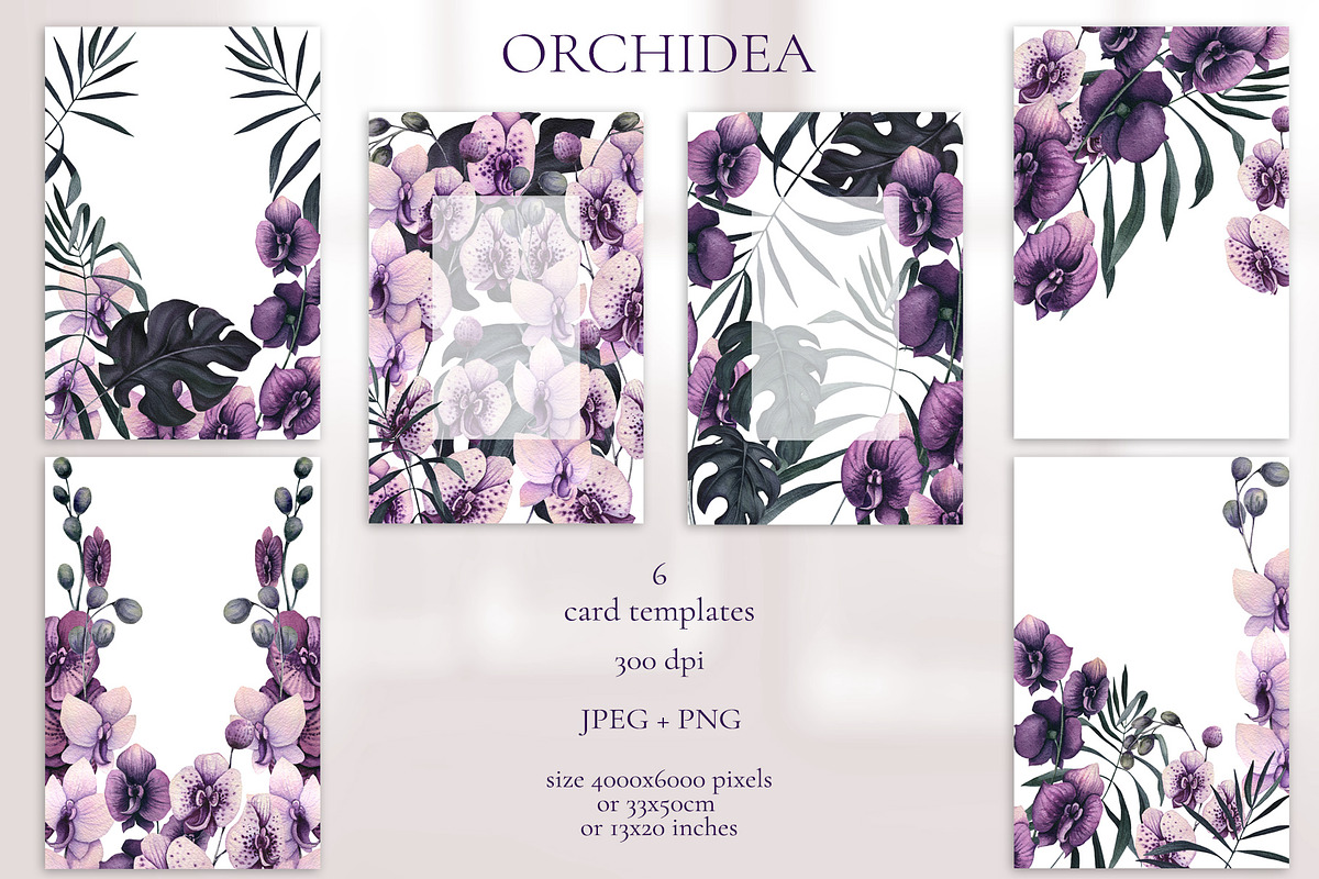 Orchidea, an Illustration by Salted Galaxy (Photo 8 of 11)