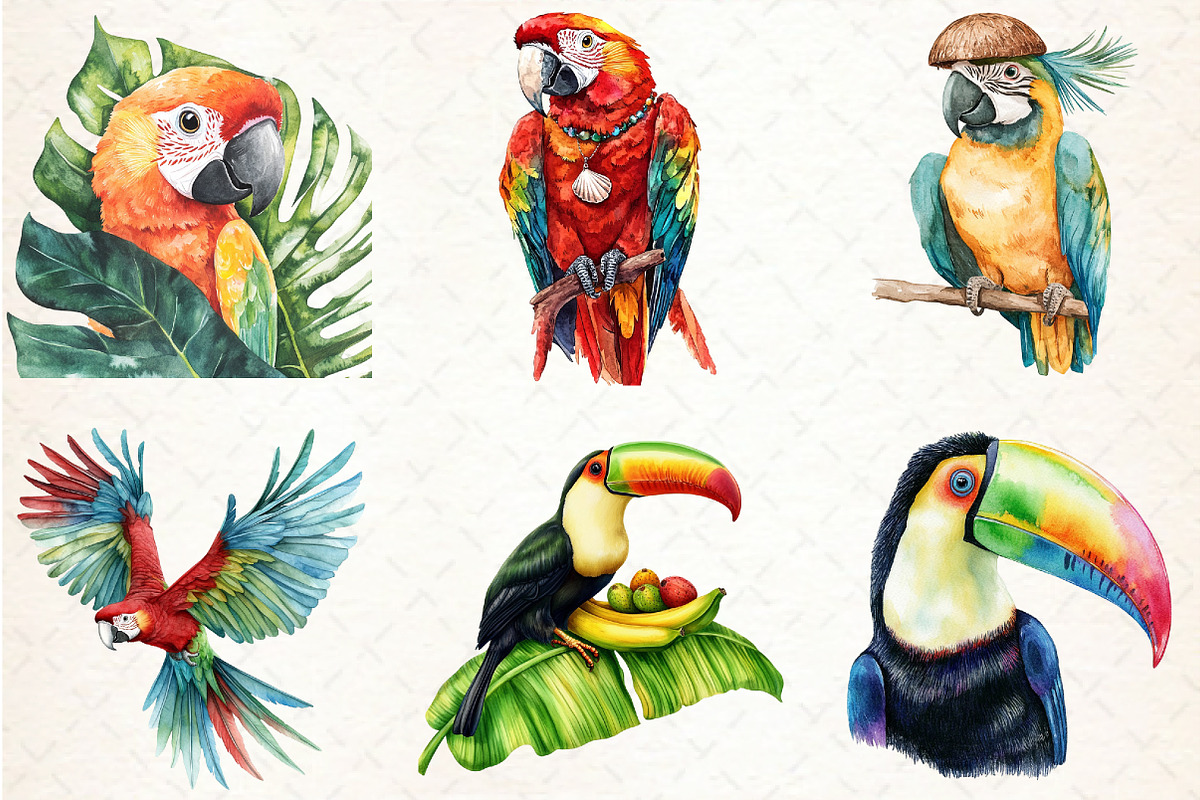 Watercolor Tropical Parrots Clipart, an Illustration by Libby Wishes (Photo 4 of 6)