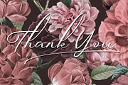 The Beauty Font Bundle | 6 in 1, a Script Font by StoricType (Thumbnail 23 of 23)