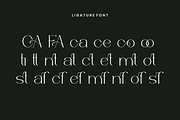 Acageto - Modern Luxury Font, a Serif Font by QR Design Studio (Thumbnail 14 of 16)