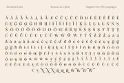 Browne de Calvin | Luxury Serif Type, a Serif Font by Jolicia Type (Thumbnail 12 of 16)