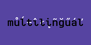 Monospaceland, a Sans Serif Font by Pepper Type (Thumbnail 4 of 10)