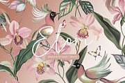 Elori Exotic Watercolor Patterns, a Pattern Graphic by LEAFure (Thumbnail 1 of 10)