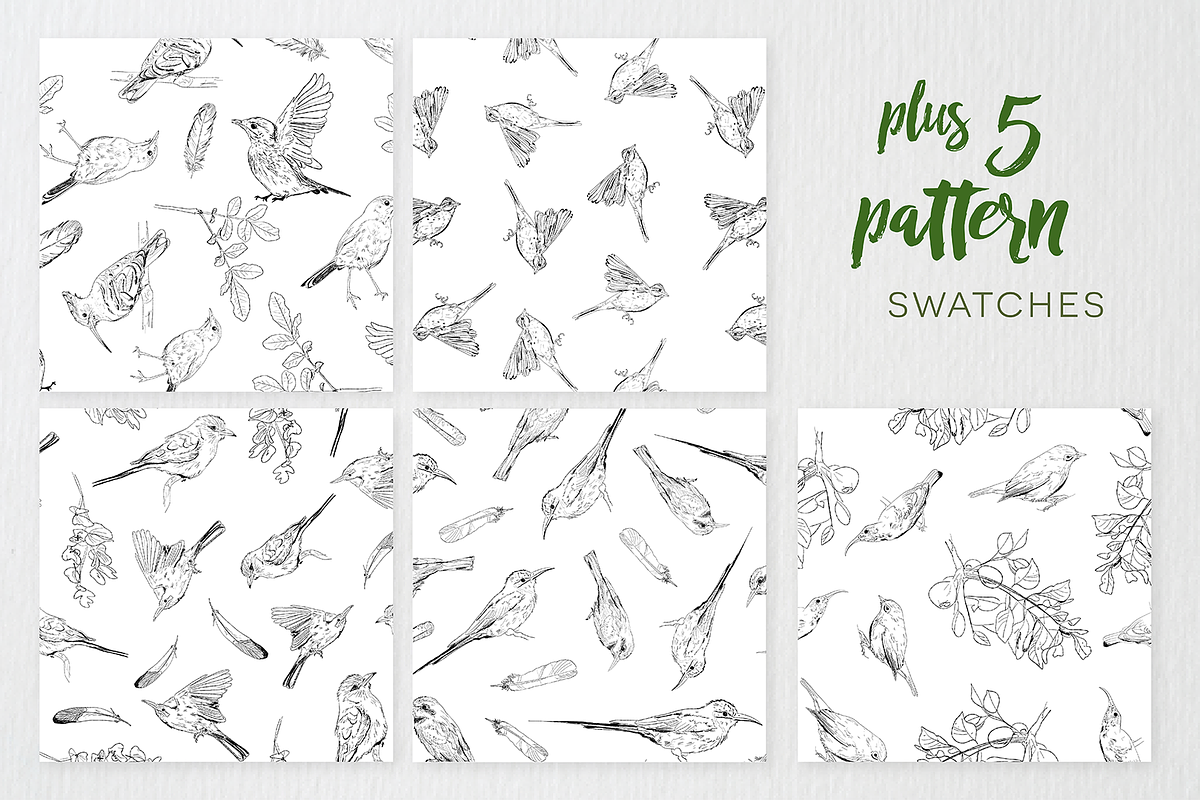 Birds of Africa Illustrations, a Decorative Illustration by CL Creative Studio (Photo 12 of 14)