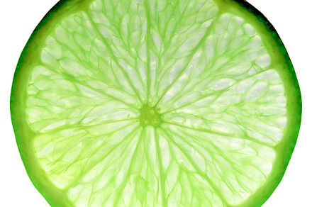 Citrus Featuring Citrus Lemon And Lime preview 6