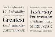 Balkist - 12 Font Family, a Serif Font by Mulkan Nazir (Thumbnail 2 of 15)