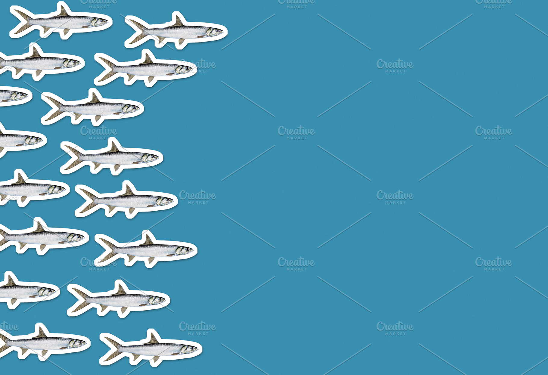 School of fish in collage style, an Animal Photo by BOOCYS