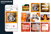 Autumn Instagram Animated Template, a Social Media Template by Brandspark Mini (Thumbnail 1 of 2)