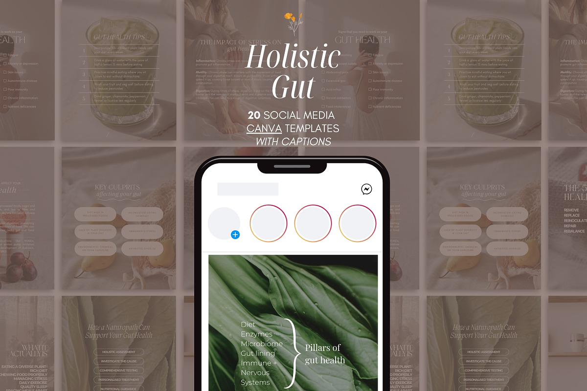 Holistic Gut Instagram Canva, a Social Media Template by Naturopath Hub (Photo 1 of 5)