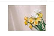 Summer Bundle 2 | 25 Stock Photos, an Arts & Entertainment Photo by Nina Stock Photos (Thumbnail 12 of 13)