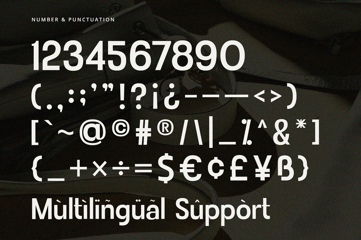 Rovique - Sans Serif Font, a Sans Serif Font by Alpaprana (Photo 8 of 9)