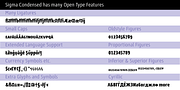 Sigma Condensed, a Sans Serif Font by Wiescher-Design (Thumbnail 4 of 11)