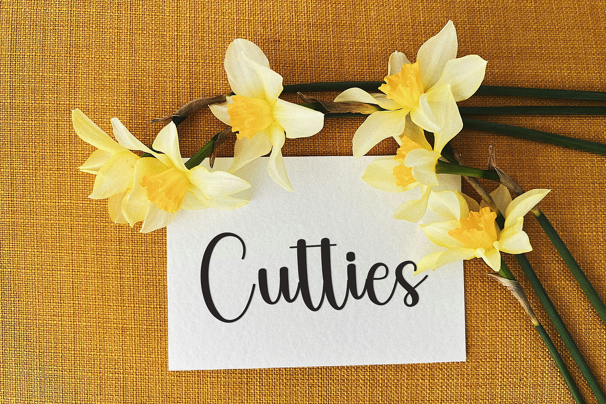 Summer Delight, a Handwritten Font by FreshTypeINK (Photo 4 of 8)