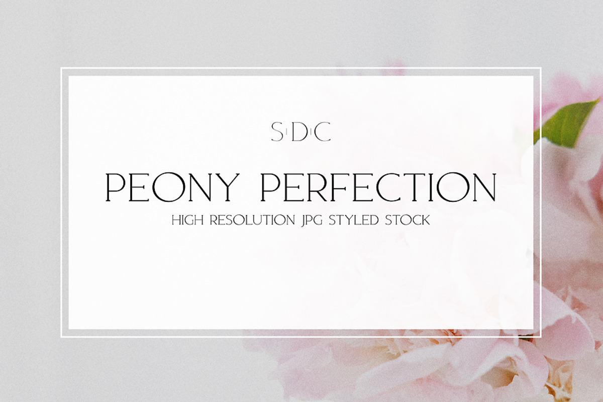 Peony Perfection Styled Stock, a Nature Photo by Susie Design Co (Photo 1 of 3)