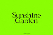 AQUA - Unique Serif, a Serif Font by subkulturetype (Thumbnail 6 of 8)