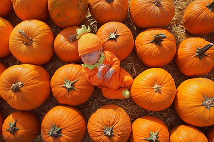 Praying Pumpkin Baby preview 6
