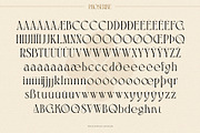 BD PHOSERINÉ | Display Serif, a Serif Font by Brandear Design (Thumbnail 21 of 23)