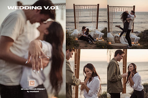 MustaART - 20 Wedding Preset V.01