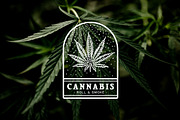 Cannabis & Hand vintage illustration, a Healthcare Illustration by Fat Hamster (Thumbnail 13 of 16)