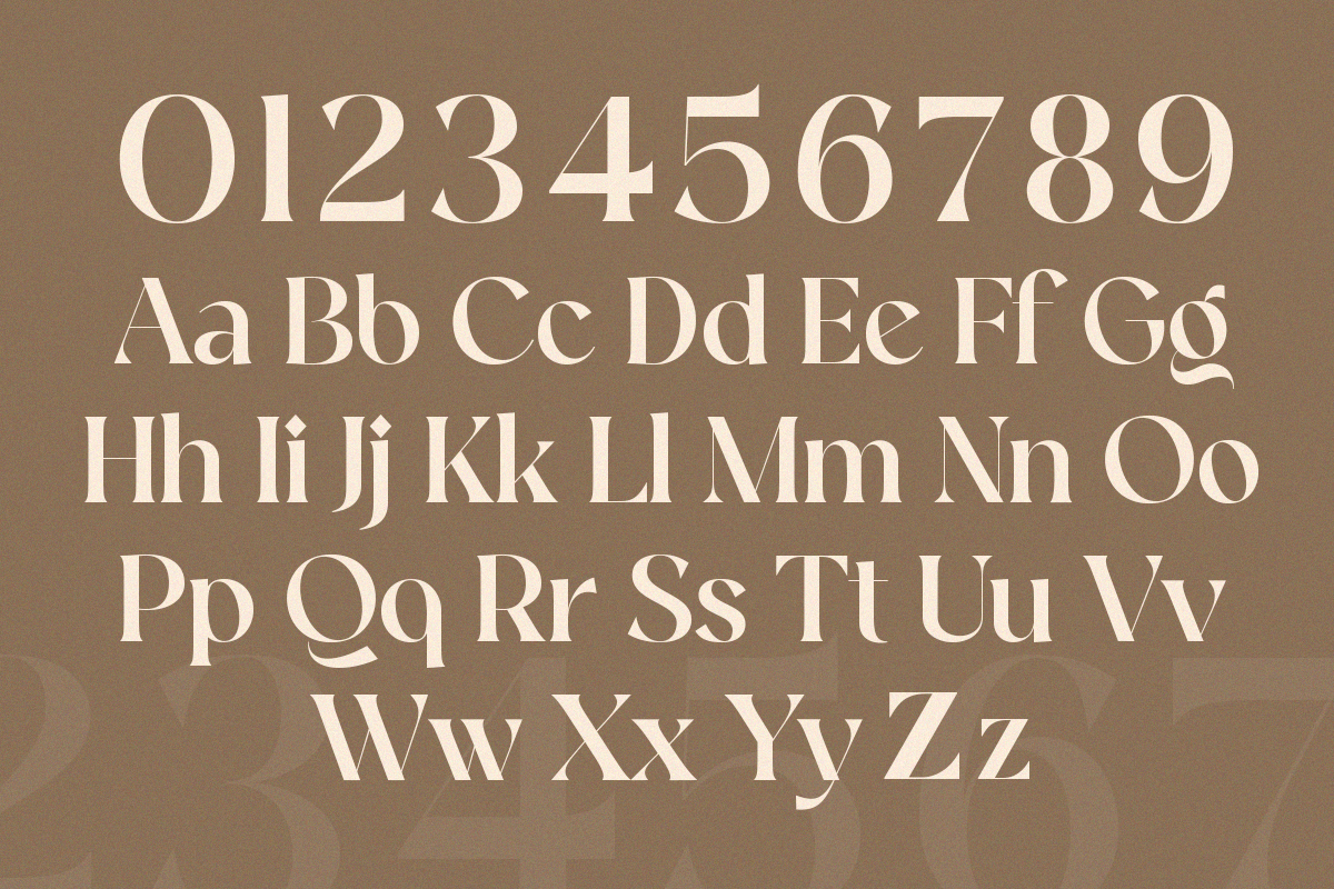 Quela A Serif that Speaks Timeless, a Serif Font by Annivers Type (Photo 6 of 10)