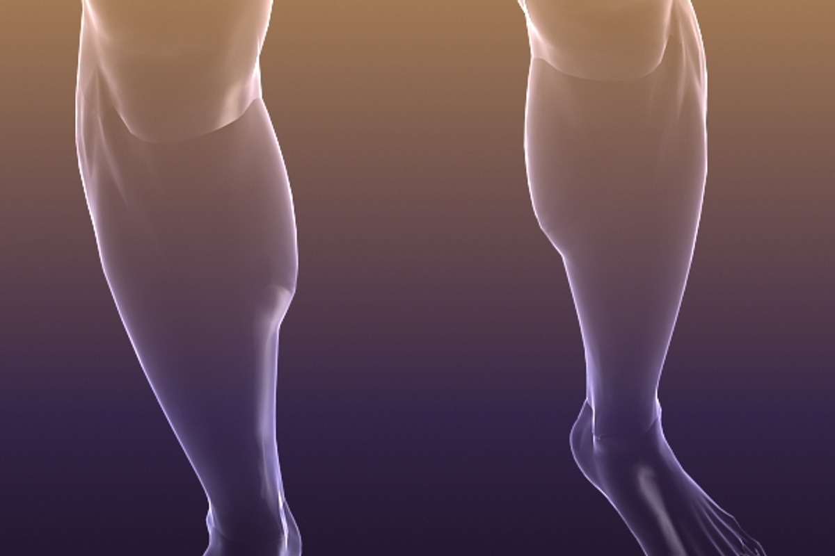 Male And Female Anatomy X-ray Bodies, a Characters & Person 3D Model by VisualCG (Photo 4 of 15)