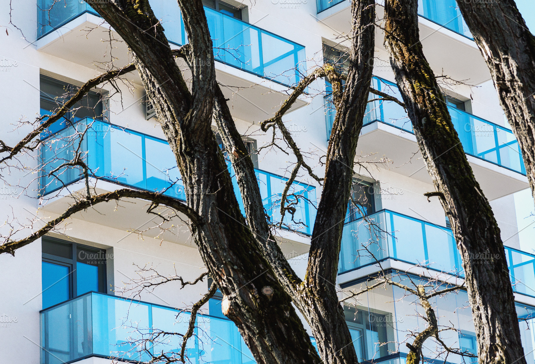 Residential balconies and trees, an Architecture Photo by BOOCYS