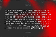 TBJ One Of A Kind Serif Font Family, a Serif Font by Taboja Studio (Thumbnail 20 of 21)