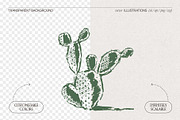 Sketch Cacti Vector Bundle, a Seasonal Illustration by TheMountBirdStudio (Thumbnail 2 of 14)
