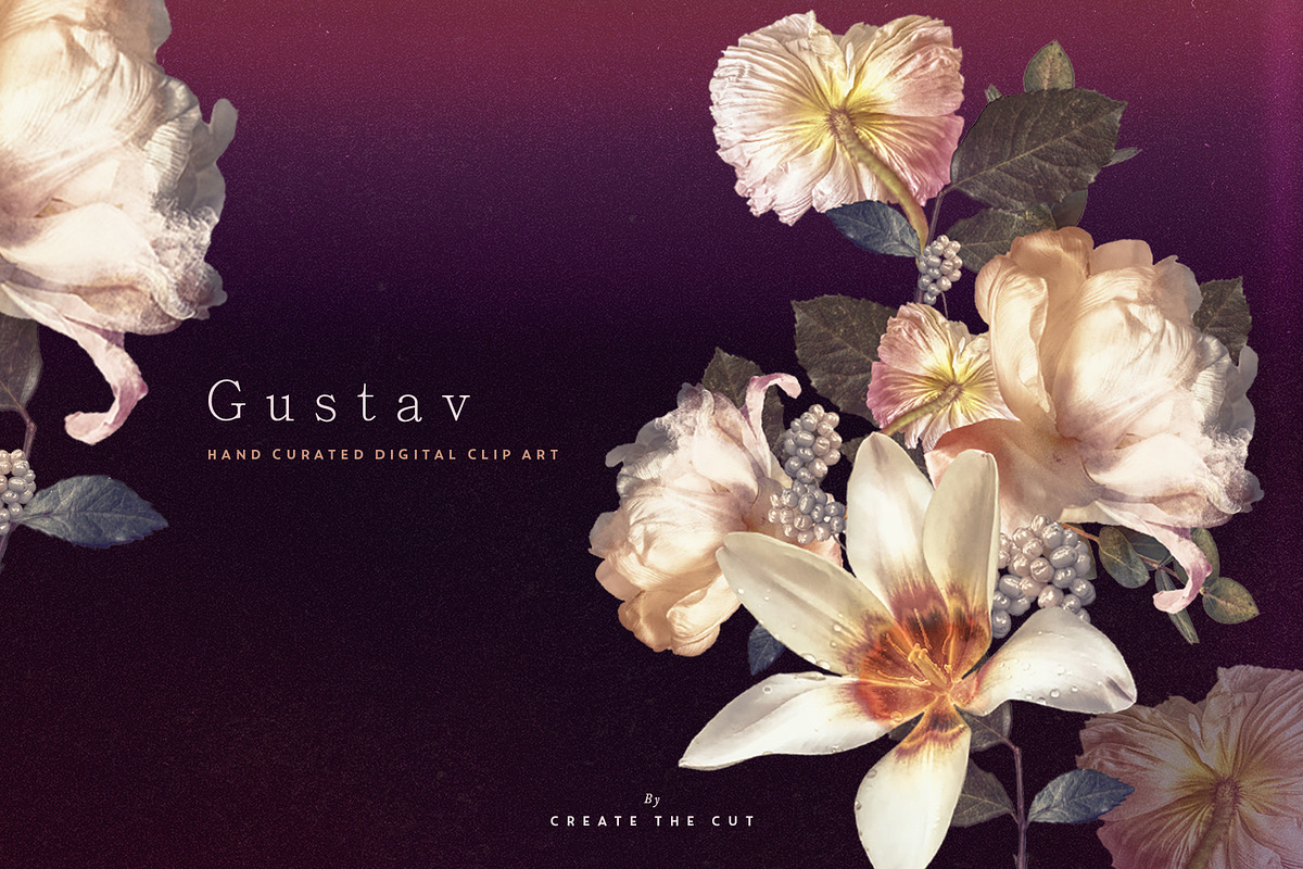 Digital Floristry - Gustav, an Illustration by Create The Cut (Photo 5 of 8)