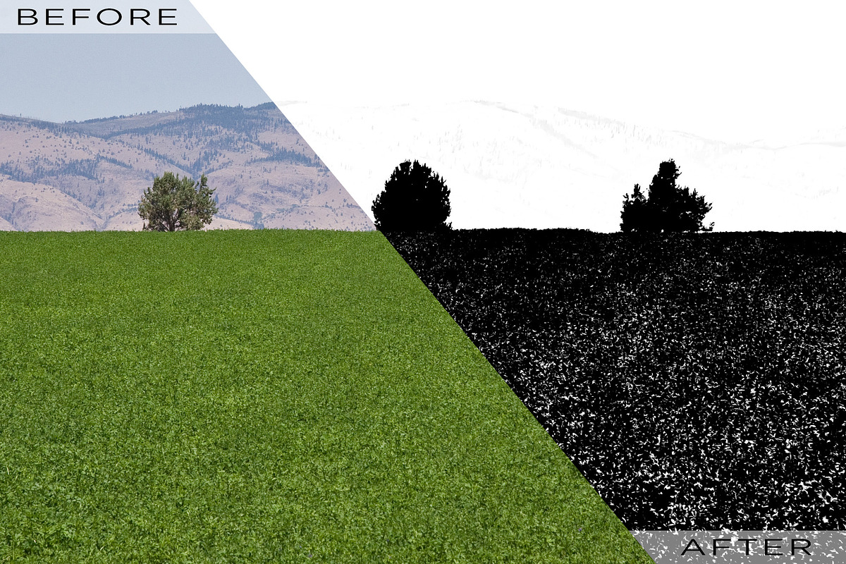 3d LUTs - Clip Art, a Palette Add-On by Click Click Studio (Photo 4 of 5)