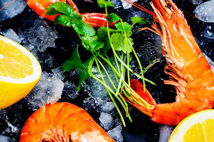 Shrimps stock photo containing ice and closeup, a Food & Drink Photo by Natalia Klenova's Shop