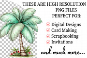 Summer Beach Palm Tree Clipart, an Illustration by Daily.Designs (Thumbnail 2 of 7)