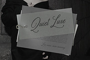The Lone Muse Romantic Script Font, a Script Font by AnMark (Thumbnail 5 of 11)