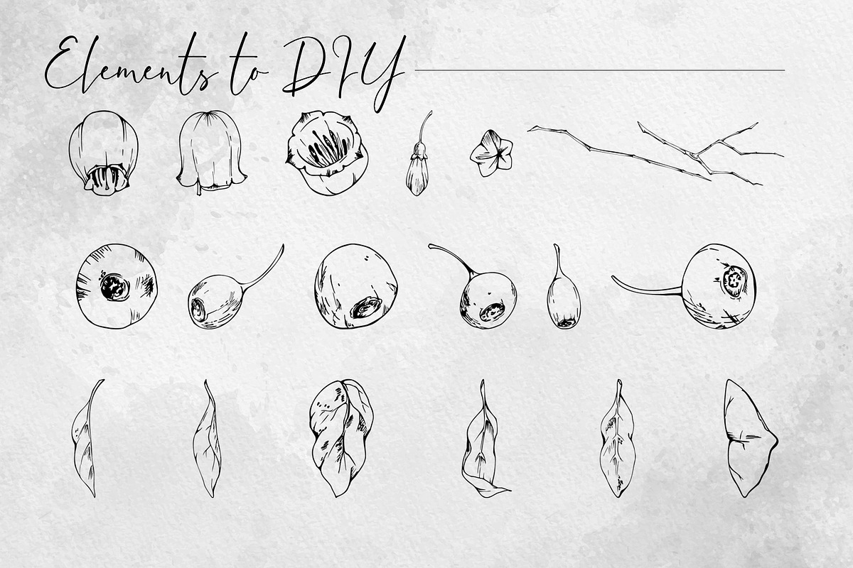 Inky huckleberry flowers, a Food Illustration by MsFlaffy (Photo 3 of 11)