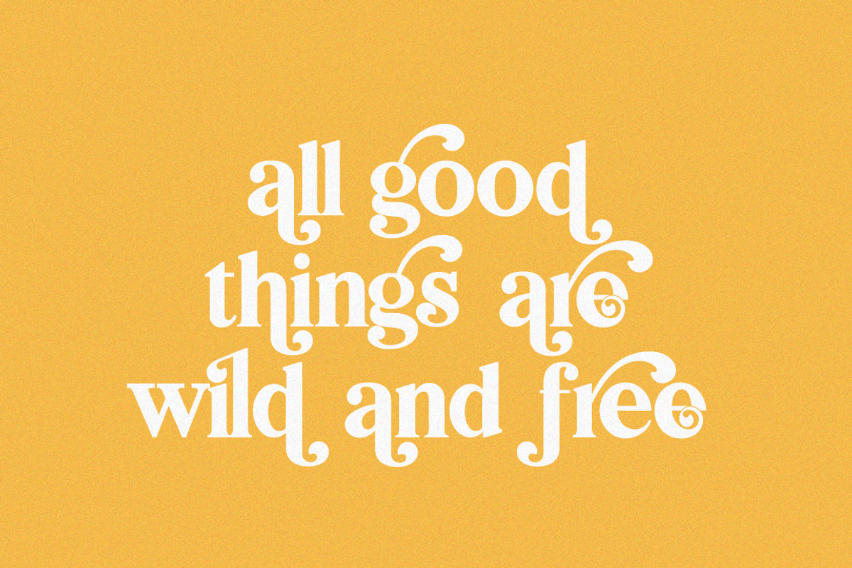 Bilingual Serif Font Duo, a Serif Font by Salt & Pepper Designs (Photo 2 of 13)