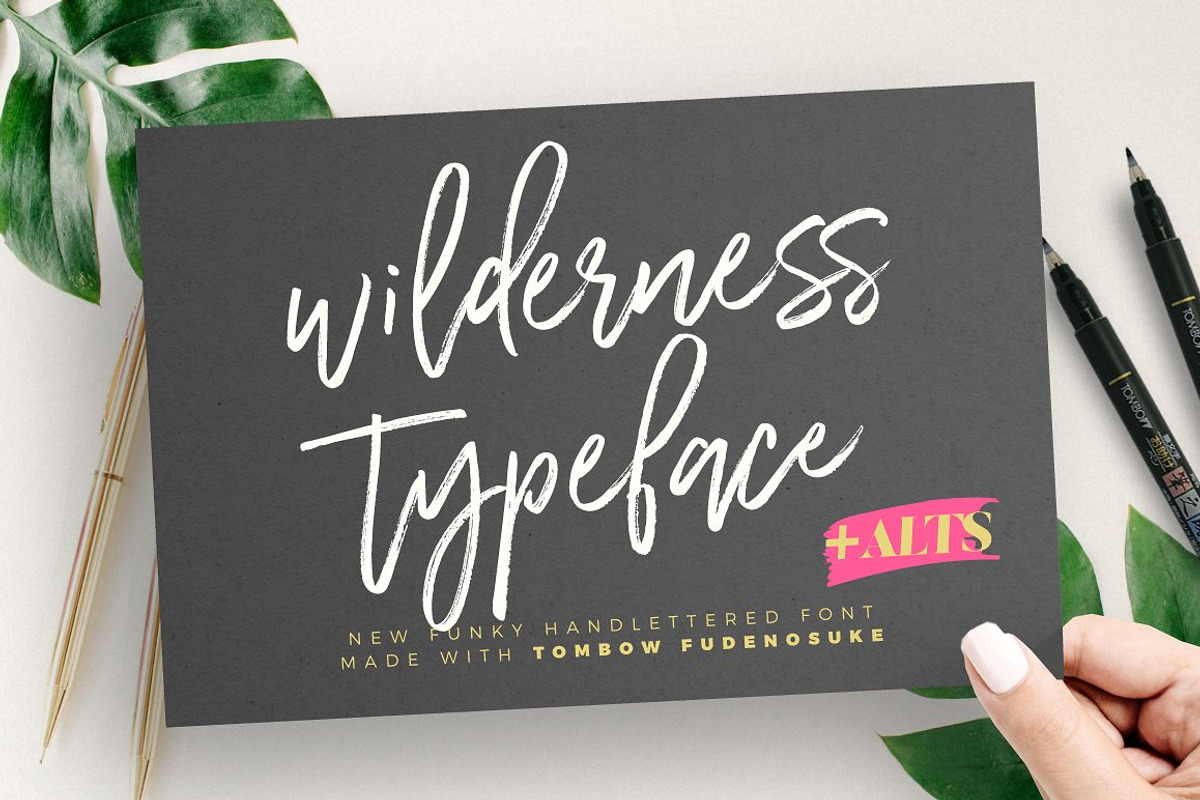 Typographer's Dream Box + 200 Logos, a Script Font by Mats-Peter Forss (Photo 43 of 130)