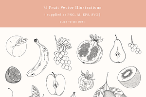 Fruit Salad Vector Illustrations