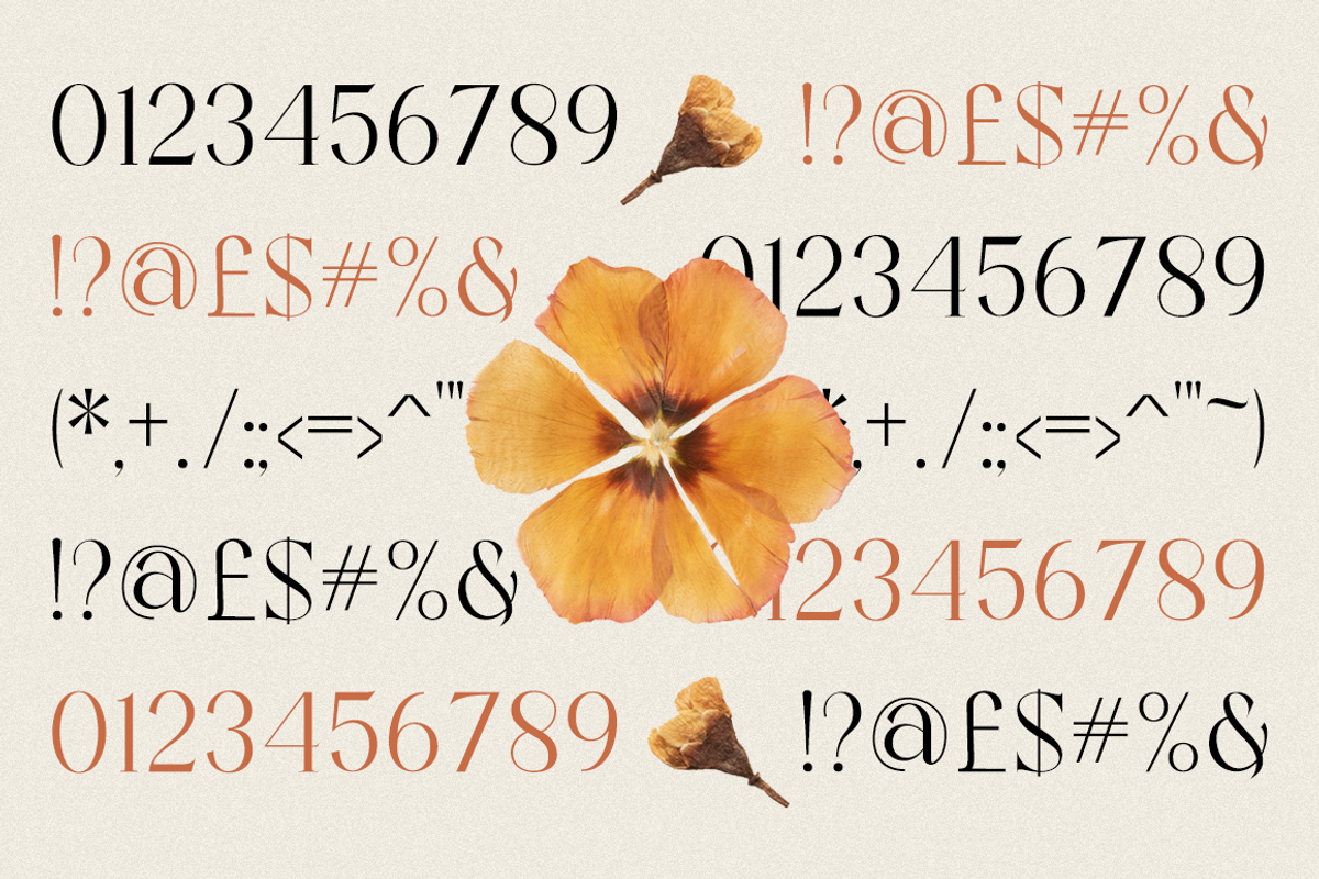 Valooron - Business Font, a Serif Font by RockboyStd (Photo 11 of 12)