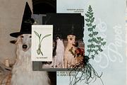 Fern & Paper Archive, a Background Graphic by nadispasibenko (Thumbnail 9 of 10)