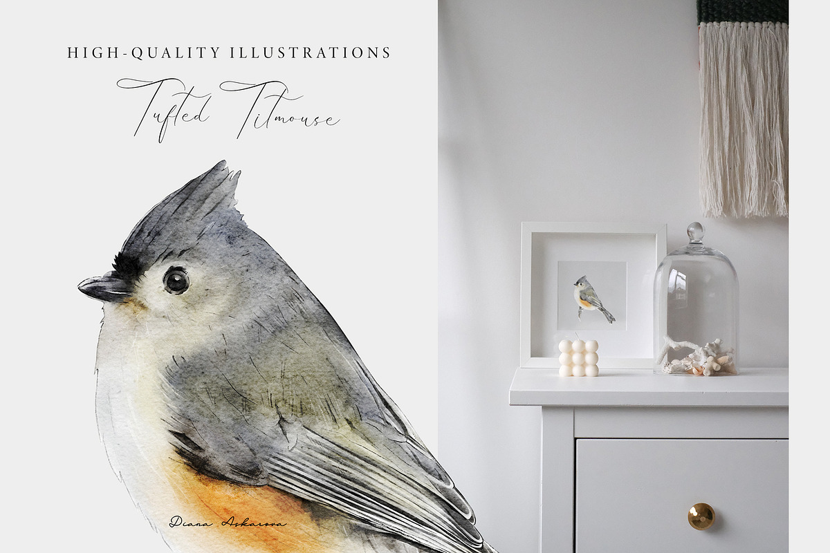 Birds of North America watercolor, an Animal Illustration by Diana Askarova Art (Photo 4 of 9)