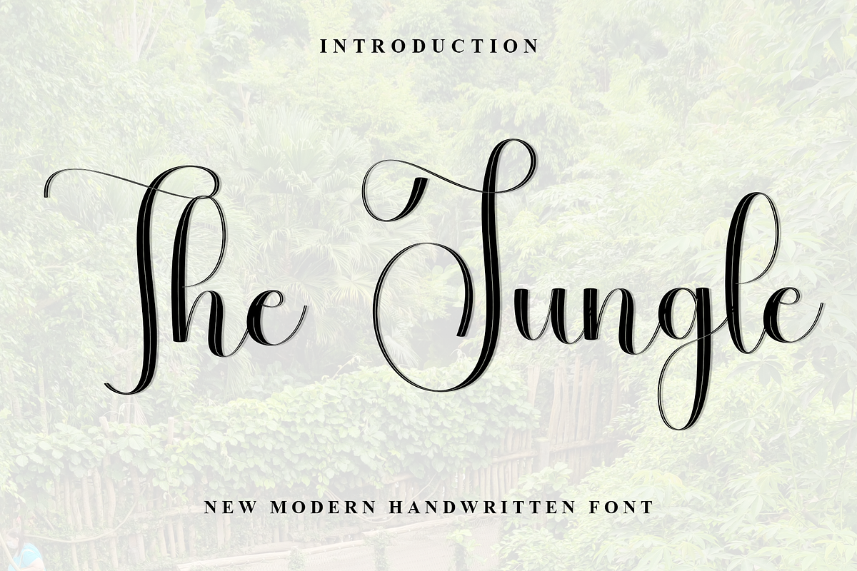 The Jungle, a Handwritten Font by FreshTypeINK (Photo 1 of 8)