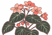 Vibrant coral begonia plant, an Object Illustration by SouravDesign (Thumbnail 1 of 3)