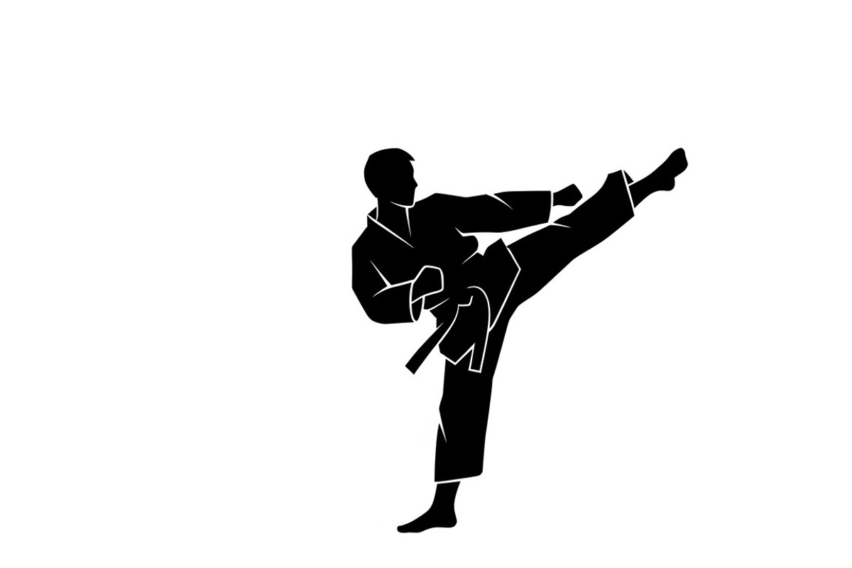 Dynamic martial arts kick silhouette, an Illustration by Amazin_art (Photo 10 of 36)