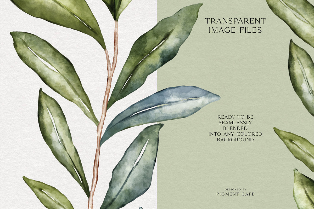 Watercolor Olive Branches & Wreaths, a Decorative Illustration by Pigment Café (Photo 7 of 8)