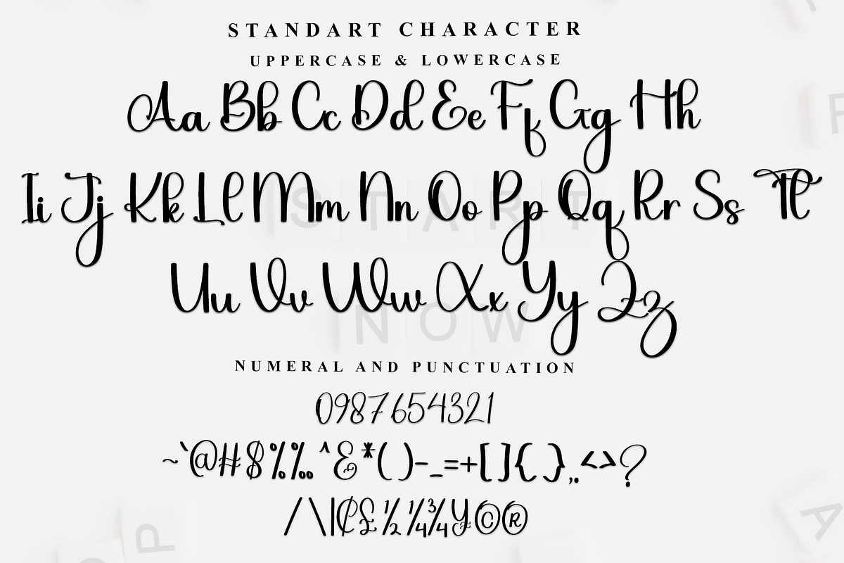 Alphabet, a Script Font by InermediaSTUDIO (Photo 4 of 7)