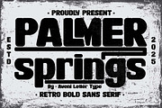 Palmer Springs | Retro Sans Serif, a Sans Serif Font by Aveni Letter Type (Thumbnail 1 of 12)