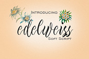 Edelweiss Soft Script, a Script Font by McJer.Studio (Thumbnail 1 of 9)