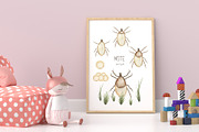 Watercolor Insects Life Cycle, an Education Illustration by MayaNavits (Thumbnail 10 of 18)