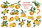 Oranges flowers and fruits clip art, a Food Illustration by Alena Sid (Thumbnail 5 of 14)