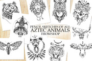 All tribal goods BUNDLE, an Animal Illustration by AnastasiaFears (Thumbnail 2 of 17)